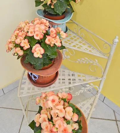 Erodios Studios 3* Skála Kallirákhis