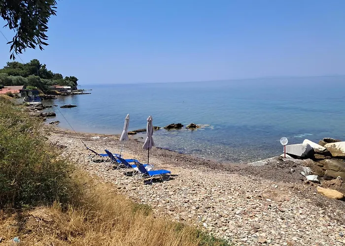 Erodios 3* Skála Kallirákhis